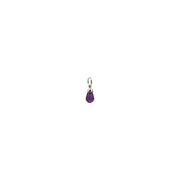 Charm B & L Jewelers Danville, KY