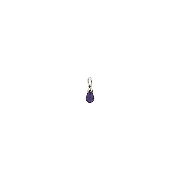Charm B & L Jewelers Danville, KY