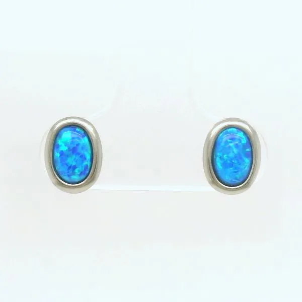 Alternative Metal Ear Rings B & L Jewelers Danville, KY