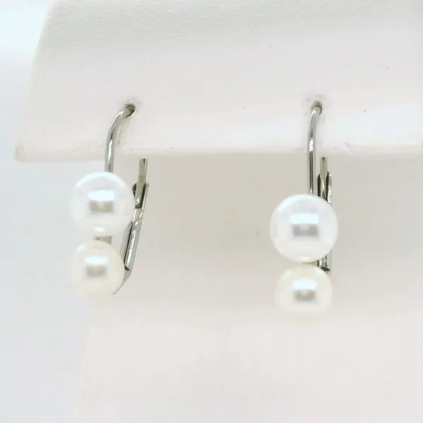 Alternative Metal Ear Rings B & L Jewelers Danville, KY