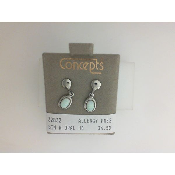 Alternative Metal Ear Rings B & L Jewelers Danville, KY