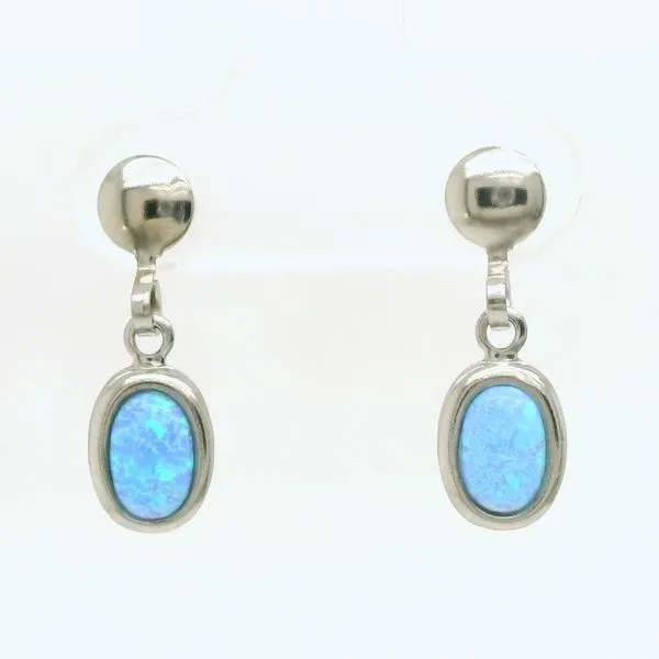 Alternative Metal Ear Rings B & L Jewelers Danville, KY