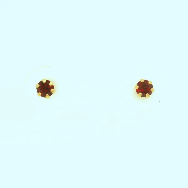 Alternative Metal Ear Rings B & L Jewelers Danville, KY