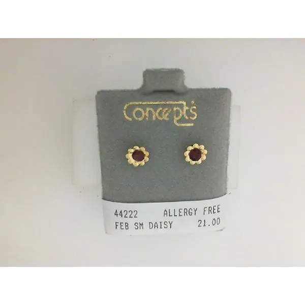 Alternative Metal Ear Rings B & L Jewelers Danville, KY