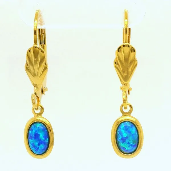 Alternative Metal Ear Rings B & L Jewelers Danville, KY