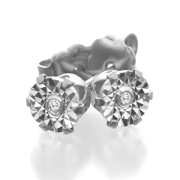 Alternative Metal Ear Rings B & L Jewelers Danville, KY