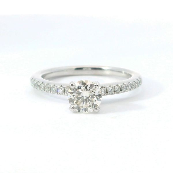14K White Gold Round Lab Grown Diamond Ring 0.97 CTW Bradley's Jewelers Jacksonville, NC