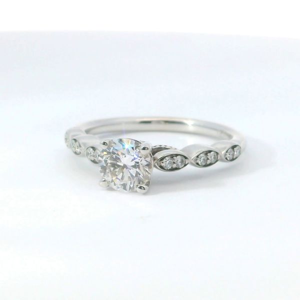 14K White Gold Cathedral Style Diamond Engagement Ring 0.81CTW Image 3 Bradley's Jewelers Jacksonville, NC