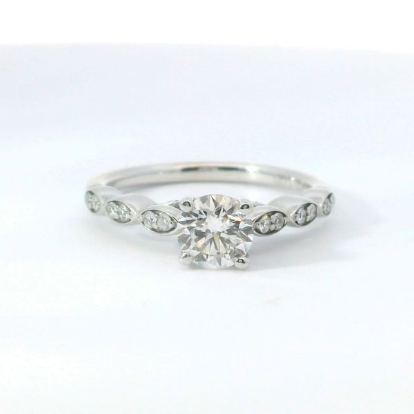 14K White Gold Cathedral Style Diamond Engagement Ring 0.81CTW Bradley's Jewelers Jacksonville, NC