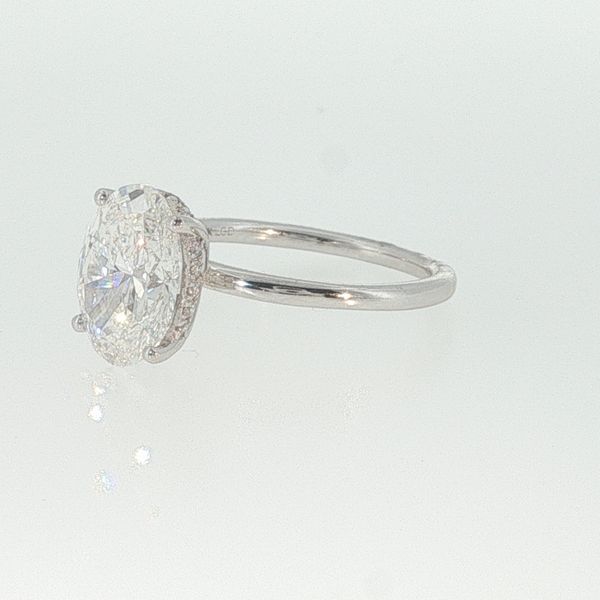 14K White Gold Cathedral Lab Grown Diamond Ring | 3.00 CT Oval Diamond Image 3 Bradley's Jewelers Jacksonville, NC