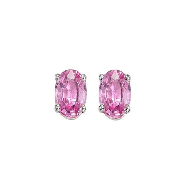 14K White Gold Pink Sapphire Oval Stud Earrings Bradley's Jewelers Jacksonville, NC