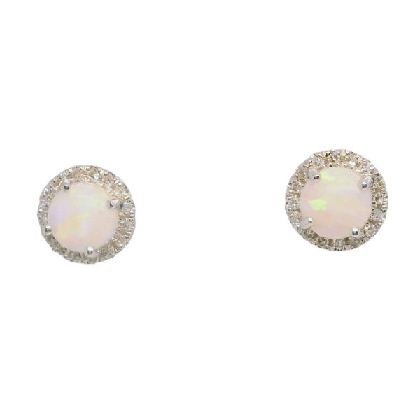 10K White Gold Opal Stud Earrings Bradley's Jewelers Jacksonville, NC