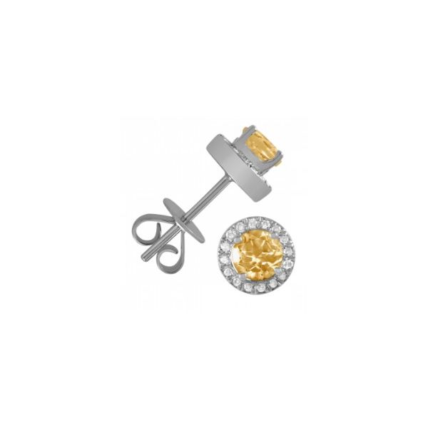10K White Gold Citrine Halo Stud Earrings Bradley's Jewelers Jacksonville, NC