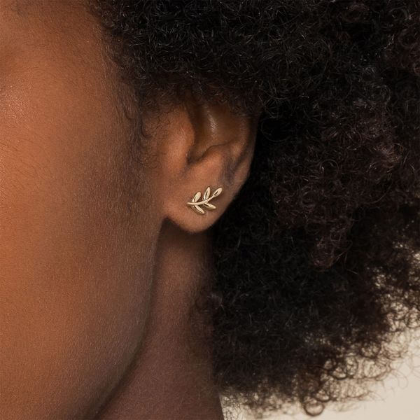 Gabriel & Co 14K Yellow Gold Laurel Branch Stud Earrings – Contemporary Collection Image 3 Bradley's Jewelers Jacksonville, NC