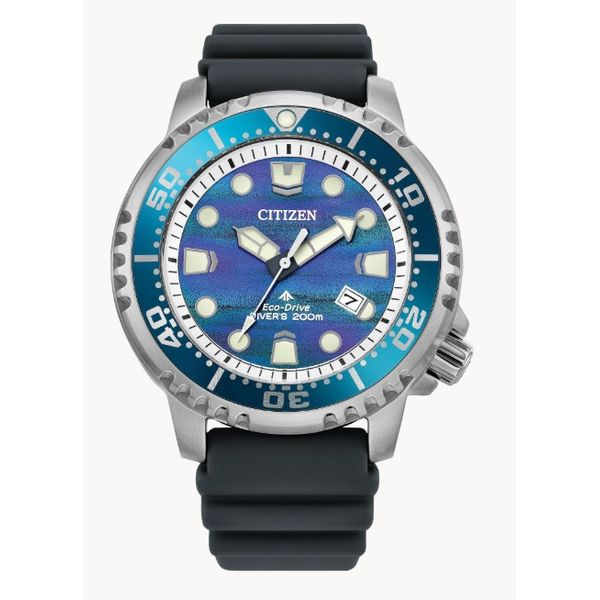 Citizen Promaster Dive Eco-Drive Watch | Stainless Steel 200M Bradley's Jewelers Jacksonville, NC