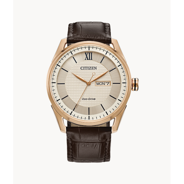 Citizen Classic Rose Gold-Tone 42mm Leather Strap Watch Bradley's Jewelers Jacksonville, NC