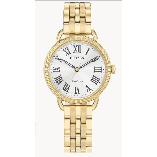 Citizen Eco-Drive Gold Tone Stainless Steel Watch Bradley's Jewelers Jacksonville, NC