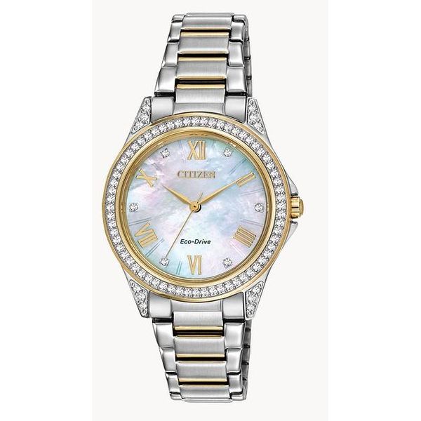 Citizen Eco-Drive Sport Casual Two-Tone Mother-of-Pearl Watch Bradley's Jewelers Jacksonville, NC