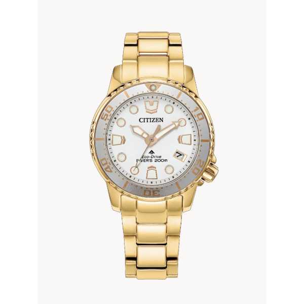 Ladies Citizen Watch Bradley's Jewelers Jacksonville, NC