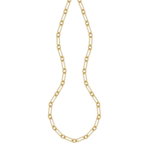 Charles Garnier Sterling Silver & Gold Link Necklace Bradley's Jewelers Jacksonville, NC