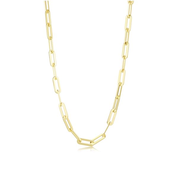 Sterling Silver Gold-Plated Charlie Large Chain Necklace 20 Inches Bradley's Jewelers Jacksonville, NC