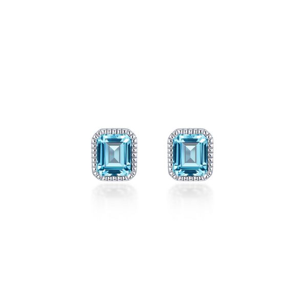 Silver Earrings Bradley's Jewelers Jacksonville, NC