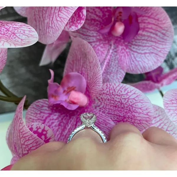 Round Moissanite Engagement Ring with 8.00mm Center and 0.66ctw F/G VS1 Round Diamonds in 14K White Gold - Brax Jeweler Image 4 Brax Jewelers Newport Beach, CA