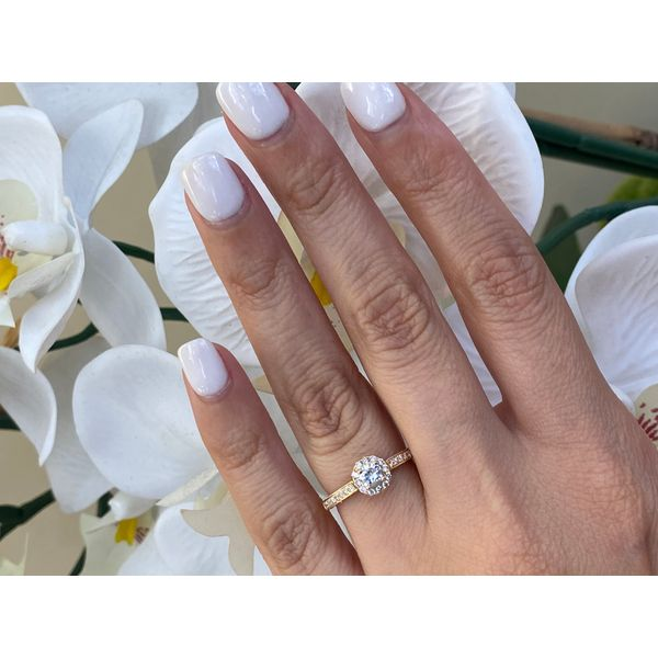 14K Yellow Gold 0.31Ct Round Natural Diamond Engagement Ring Image 4 Brax Jewelers Newport Beach, CA