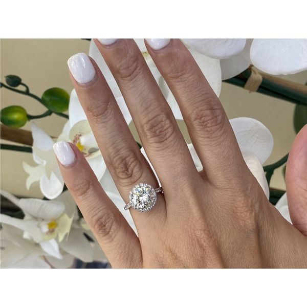 18K White Gold Round Diamond Halo Engagement Ring Image 3 Brax Jewelers Newport Beach, CA