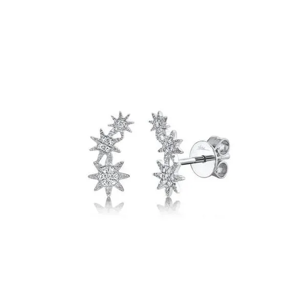 14 Karat .06Tw Natural Diamond Star Earrings Brax Jewelers Newport Beach, CA
