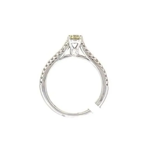 14KW Engagement ring w/.38 round center Image 4 Bryan Jewelry Prattville, AL