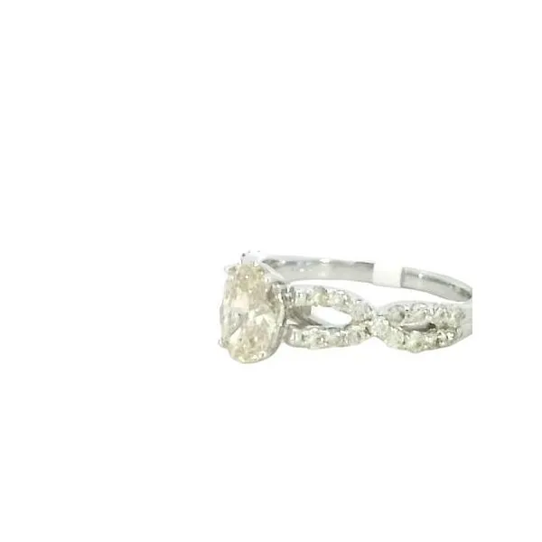Cathedral style engagement ring in 14k white gold Image 4 Bryan Jewelry Prattville, AL