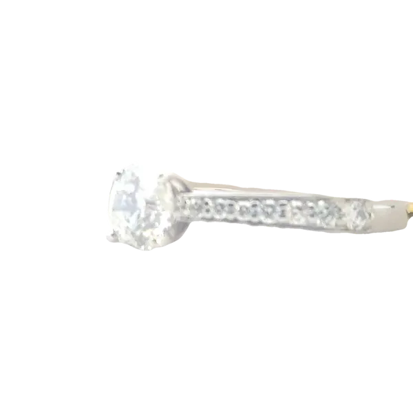 Diamond Set Cathedral Shank Solitaire Ring in 14kw Image 2 Bryan Jewelry Prattville, AL