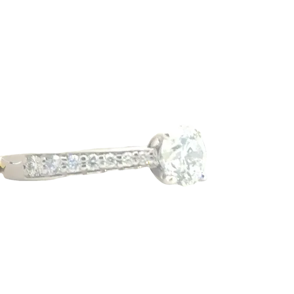 Diamond Set Cathedral Shank Solitaire Ring in 14kw Image 3 Bryan Jewelry Prattville, AL