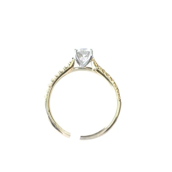 Diamond Engagement Ring in 14ky with Double Row Diamond Shank Image 4 Bryan Jewelry Prattville, AL
