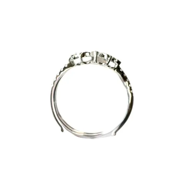 Framed in Sparkle<br> Diamond Ring Guard in 14kw Image 2 Bryan Jewelry Prattville, AL