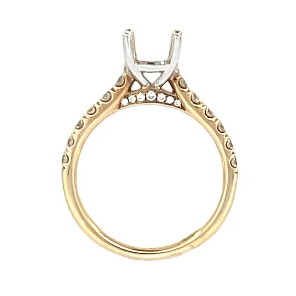 14ktt Best of Both Worlds Diamond Semi-mount Ring Image 2 Bryan Jewelry Prattville, AL