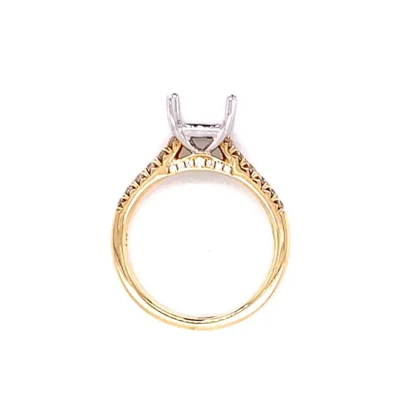 Two-Tone Princess Semi-Mount Image 3 Bryan Jewelry Prattville, AL