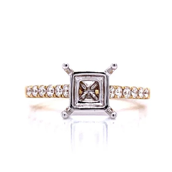 Two-Tone Princess Semi-Mount Bryan Jewelry Prattville, AL