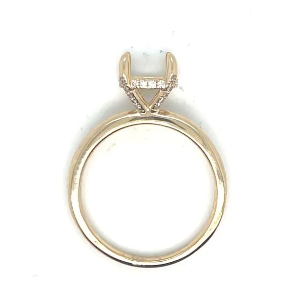 Hidden halo semi-mount for  8.1mm-14ky Bryan Jewelry Prattville, AL