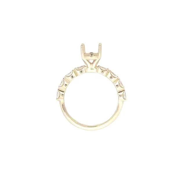Oval Floating Diamond Semi-mount for Oval center -14ky Image 4 Bryan Jewelry Prattville, AL