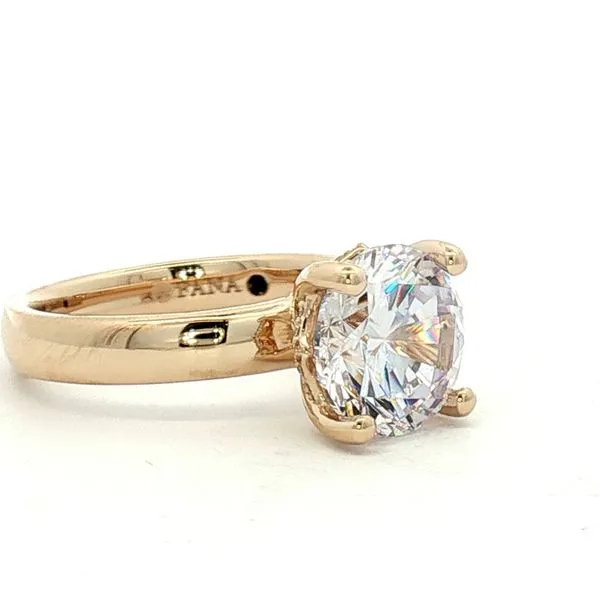 Radiant Revival: Hidden Halo Round Solitaire Image 3 Bryan Jewelry Prattville, AL