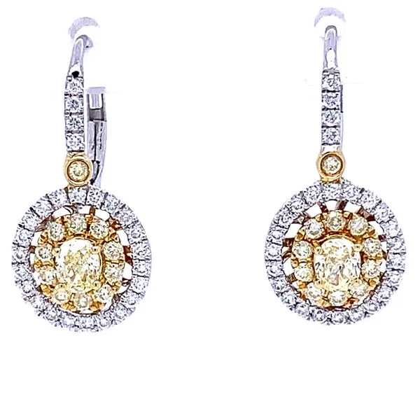 Yellow Diamond Dangles in 18ktt Bryan Jewelry Prattville, AL