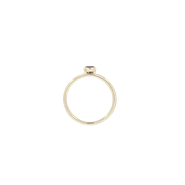 Bezel Set January Birthstone Ring-10ky Image 2 Bryan Jewelry Prattville, AL