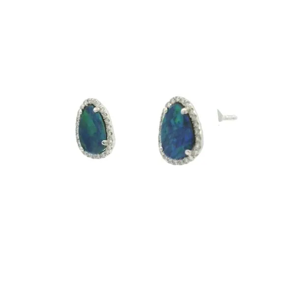 Opal & Diamond Earrings in 14kw Image 2 Bryan Jewelry Prattville, AL