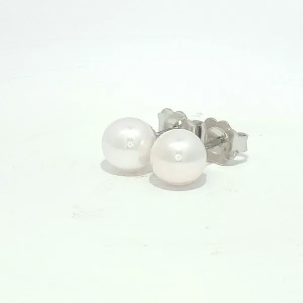Classic Elegance: 6–6.5mm Pearl Stud Earrings in 14K White Gold Image 2 Bryan Jewelry Prattville, AL
