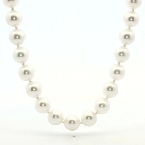 8-8.5mm Akoya Cultured Pearl Strand with 14k white clasp Bryan Jewelry Prattville, AL