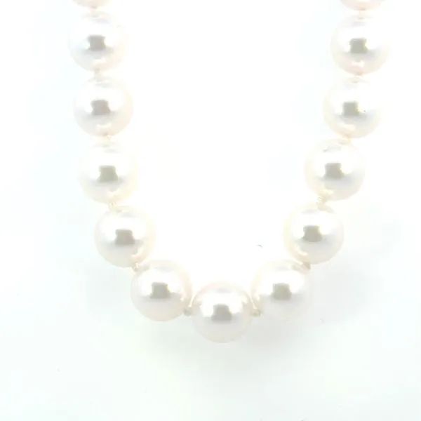 Japanese Cultured Akoya Pearls Bryan Jewelry Prattville, AL