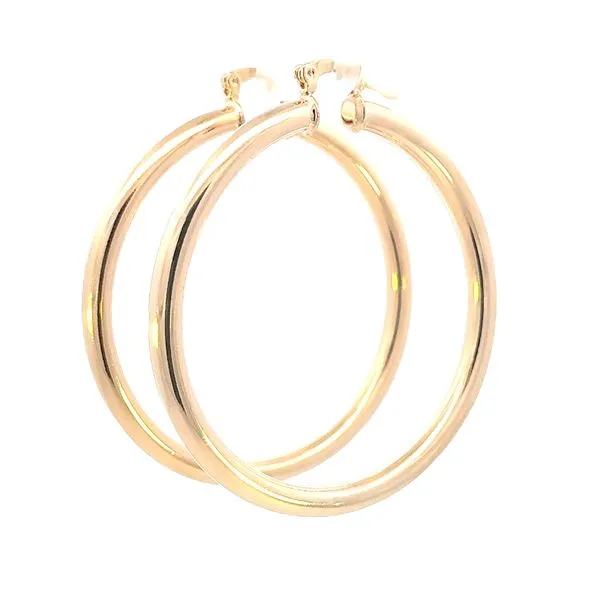 Gold Filled 4mm tubular 50mm diameter hoop Bryan Jewelry Prattville, AL