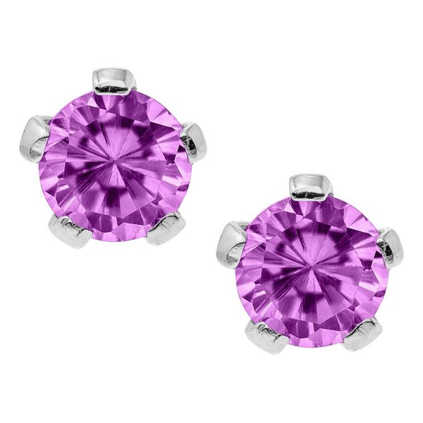 A pair of Kiddie Kraft February Birthstone Earrings Bryan Jewelry Prattville, AL